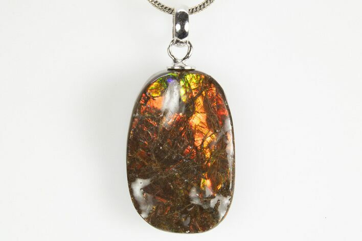 Brilliant Ammolite Pendant (Necklace) - Alberta, Canada #312476